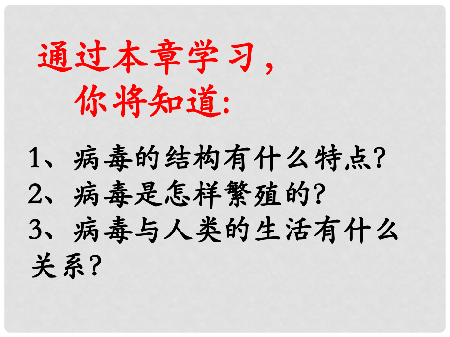 新人教版病毒-课件.ppt_第2页