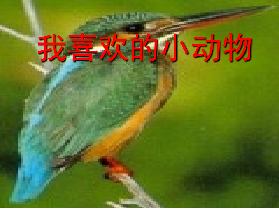 我喜欢的小动物作文细节版.ppt_第2页