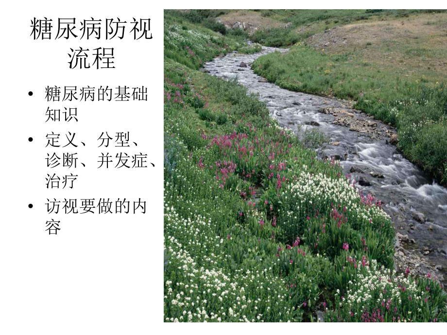 慢病访视之糖尿病.ppt_第1页