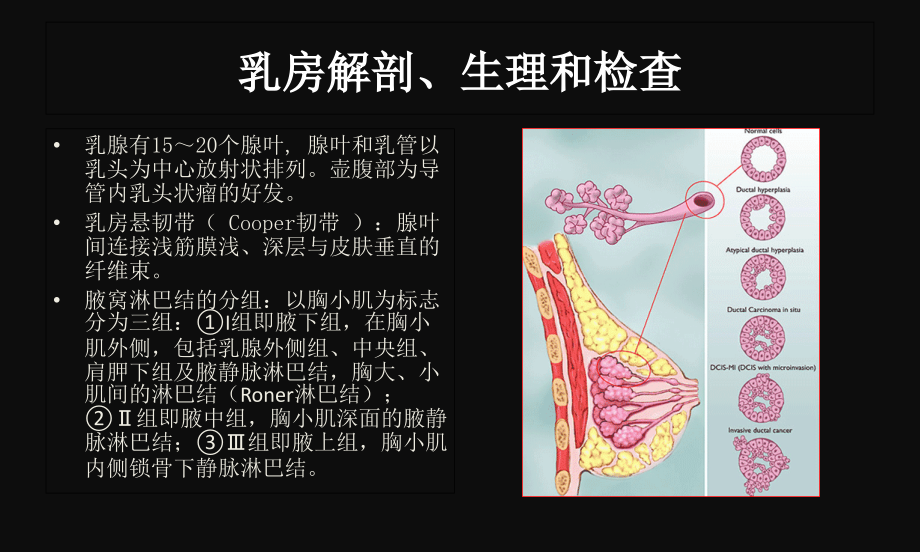 临床执业医师其他部分基础强化班.ppt_第2页