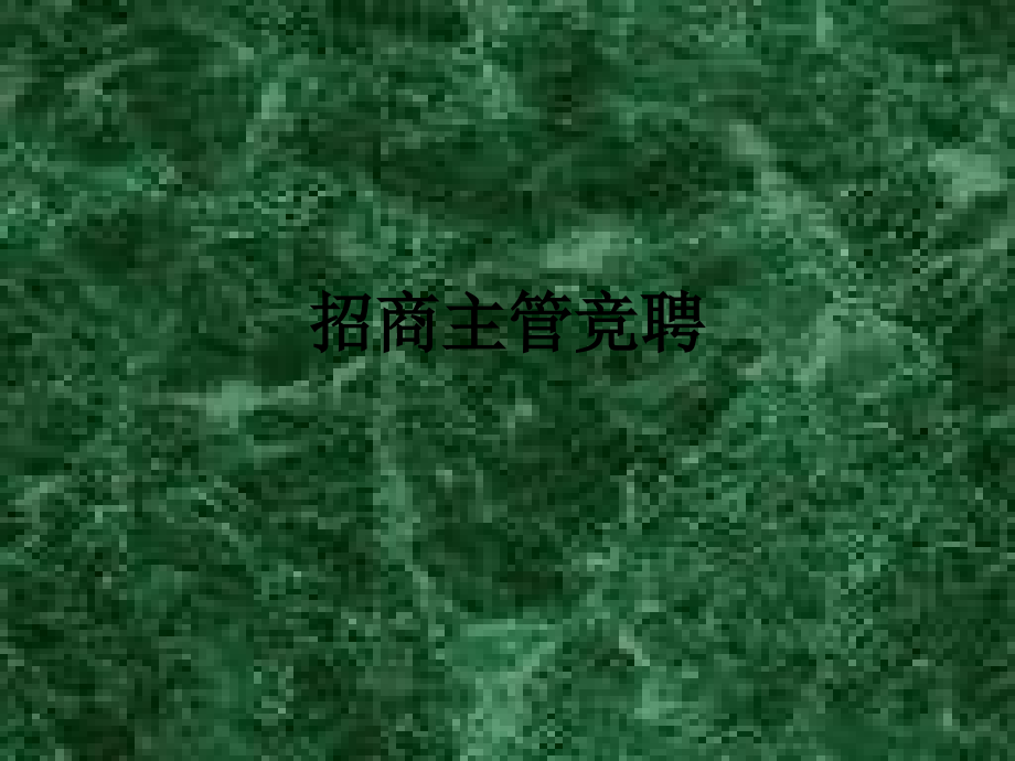 招商主管竞聘.ppt_第1页