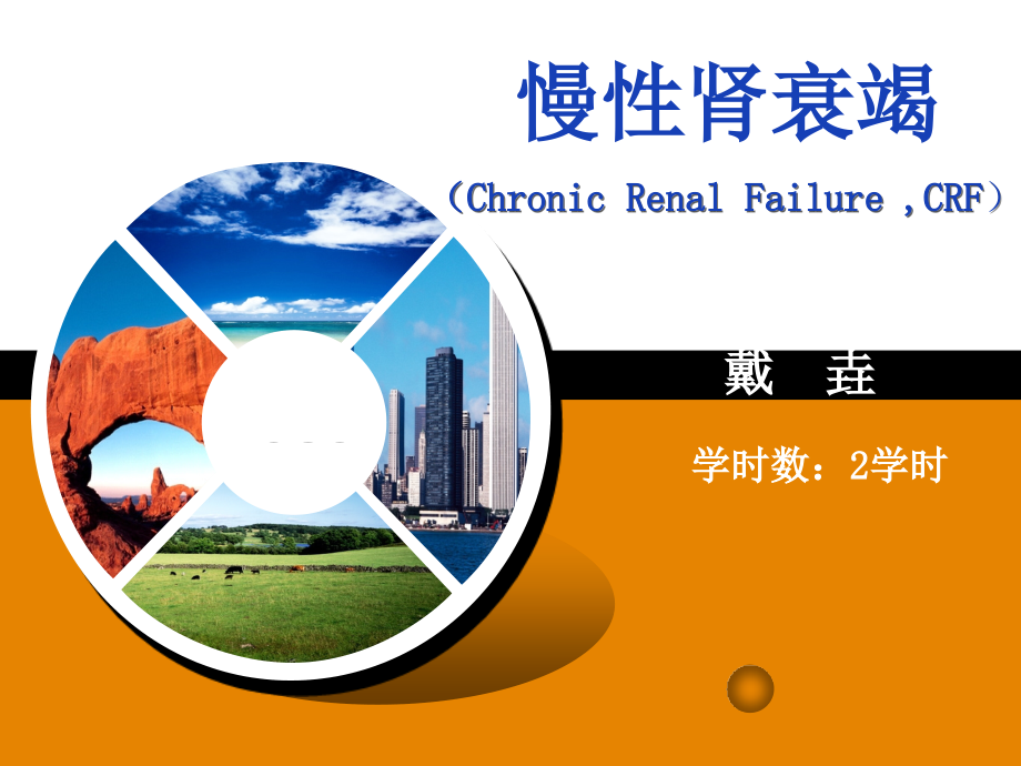 慢性肾衰下发.ppt_第1页