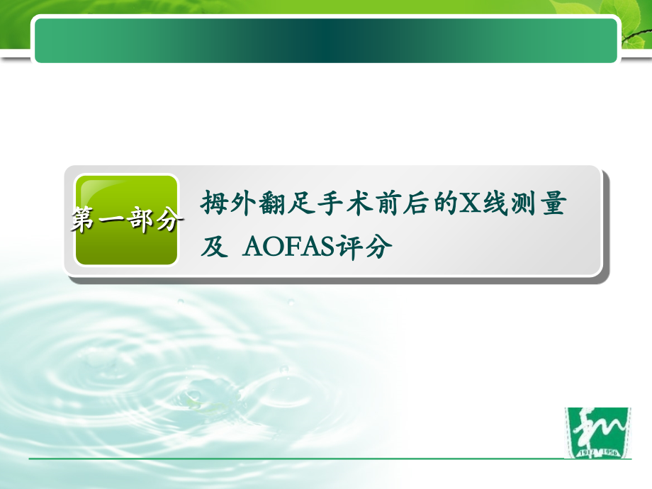 拇外翻患者手术效果评判.ppt_第2页