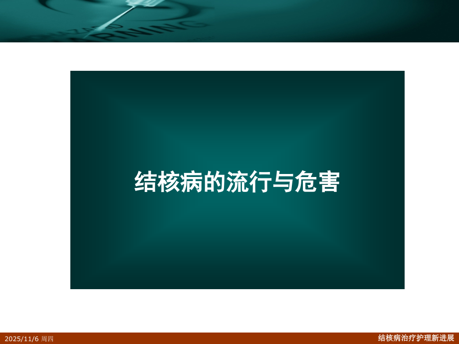 新结核病的治疗护理进展-syy.ppt_第2页