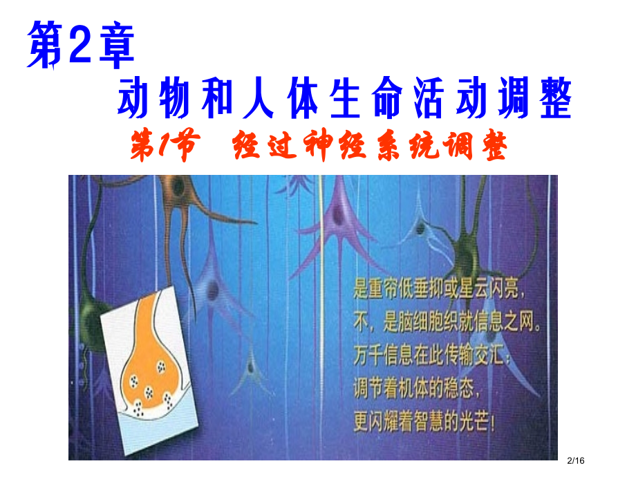 高中生物必修3---神经调节.pptx_第2页