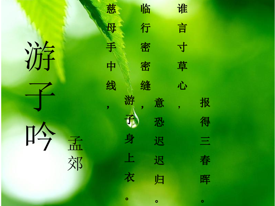 感恩在我心主题班会---范本.ppt_第2页