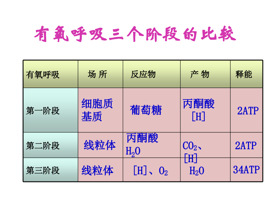有氧呼吸过程演示集锦.ppt_第1页