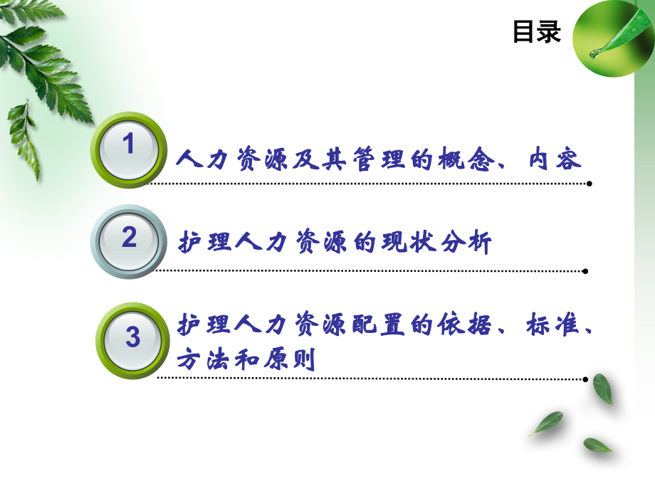 护理人力资源管理(蔡).ppt_第1页