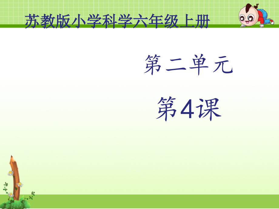 苏教版科学六年级上册课件：《地球的内部》课件.ppt_第1页