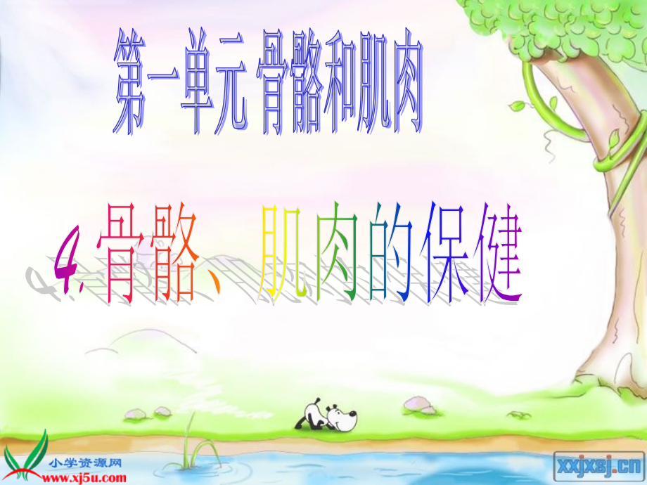 新苏教版四年级下册科学《骨骼肌肉的保健》.ppt_第1页