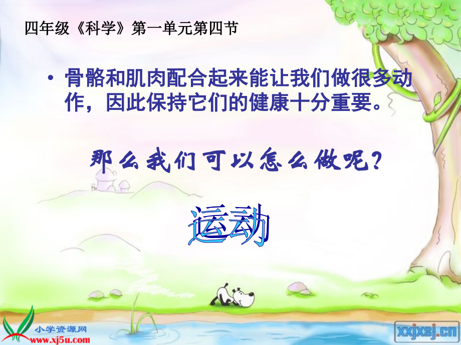 新苏教版四年级下册科学《骨骼肌肉的保健》.ppt_第2页