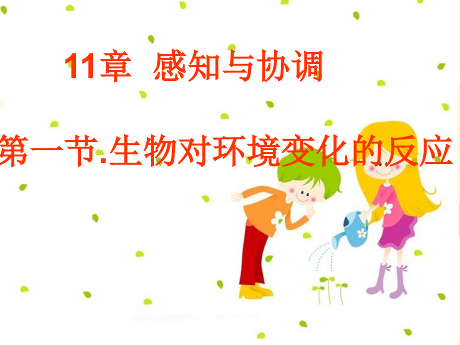 感知与协调.ppt_第1页