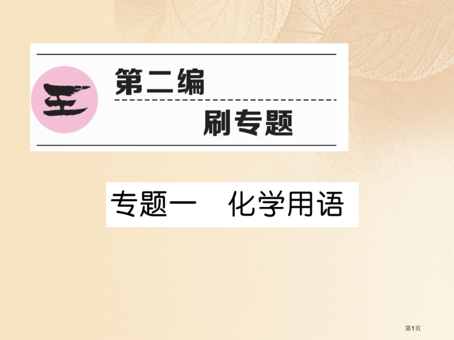 中考化学复习第二编专题1化学用语精讲市赛课公开课一等奖省名师优质课获奖PPT课件.pptx_第1页