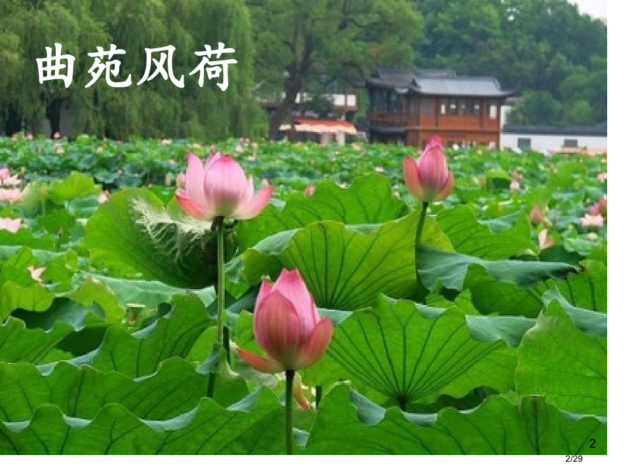 部编版三年级语文上册17-饮湖上初晴后雨1省公开课金奖全国赛课一等奖微课获奖PPT课件.pptx_第2页