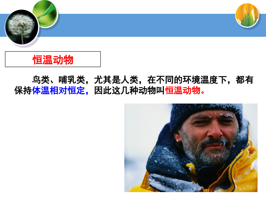 体温的控制教学.ppt_第2页