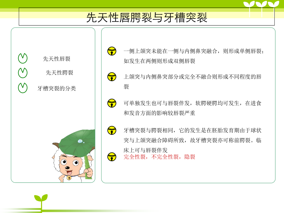 先天性唇腭裂的序列治疗.ppt_第2页