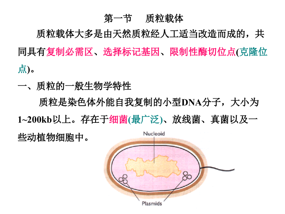 基因工程原理与技术-3.ppt_第1页