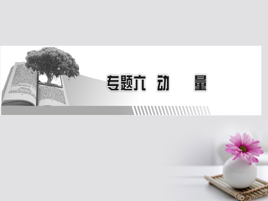 高考物理总复习专题6动量第1讲动量动量守恒定律市赛课公开课一等奖省名师优质课获奖PPT课件.pptx_第1页