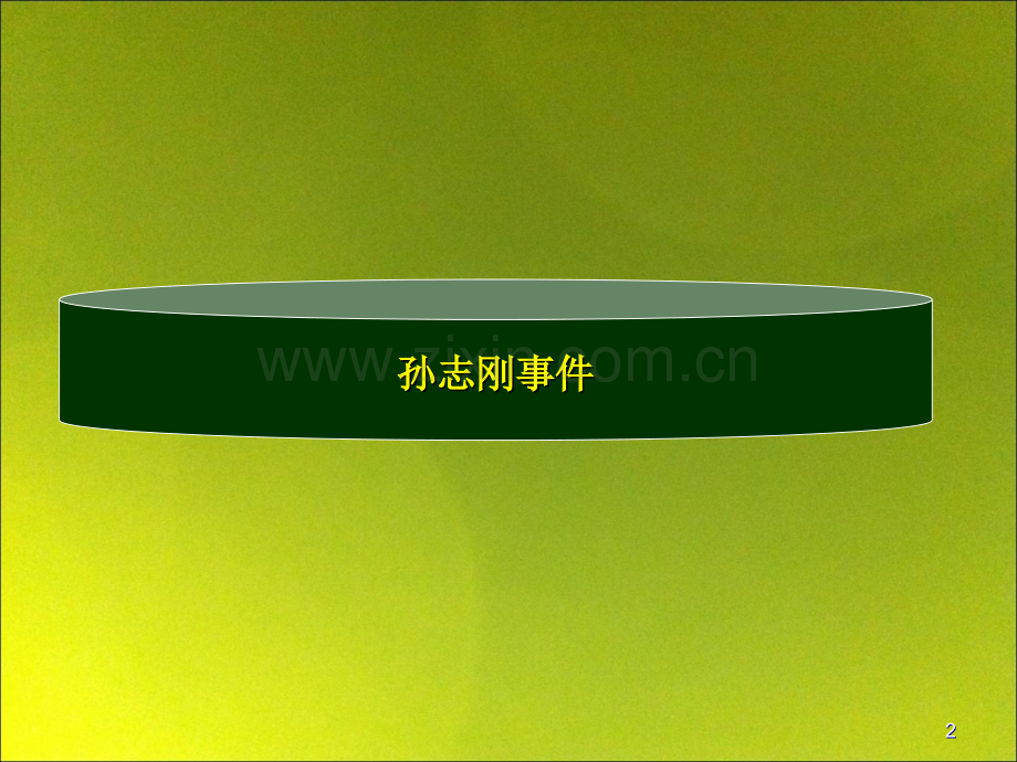 国内案例评析一.ppt_第2页