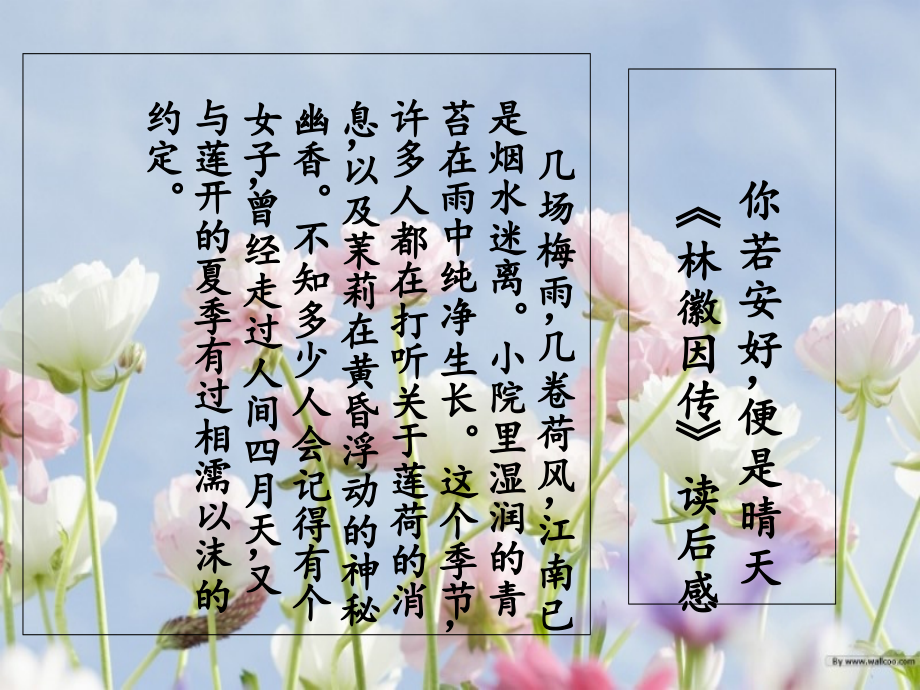你若安好便是晴天--向楠原创.ppt_第1页