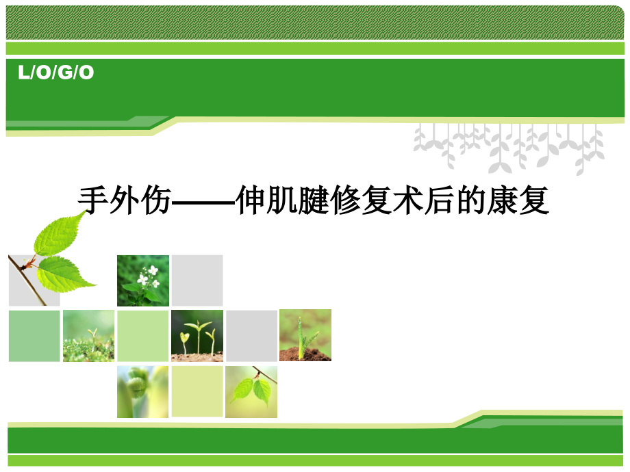 伸肌腱修复.ppt_第1页