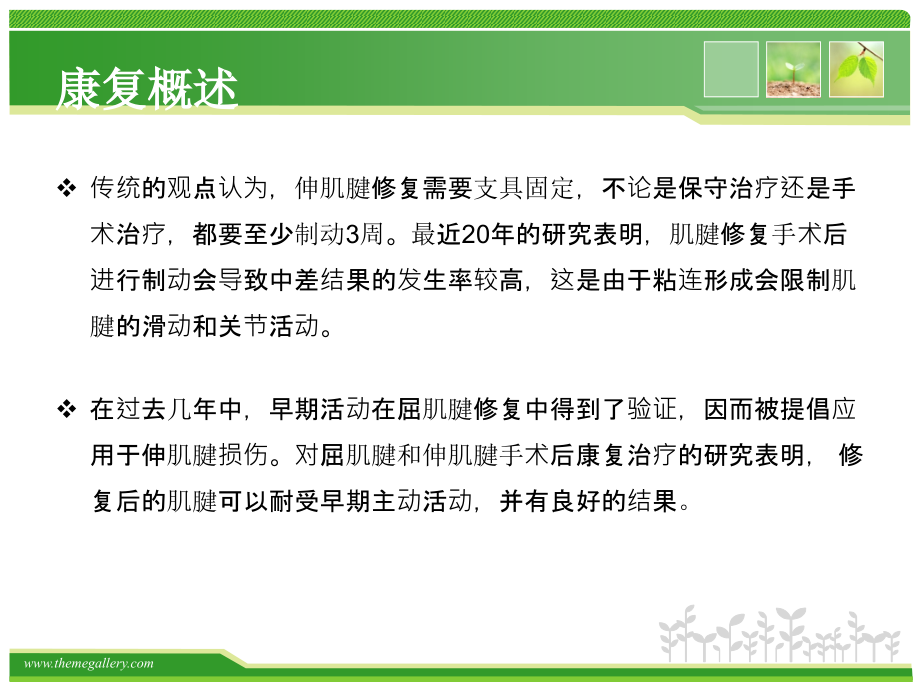 伸肌腱修复.ppt_第2页
