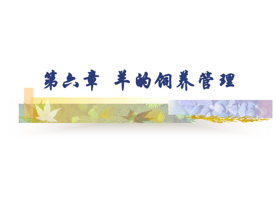 第六章羊的饲养管理.ppt_第1页