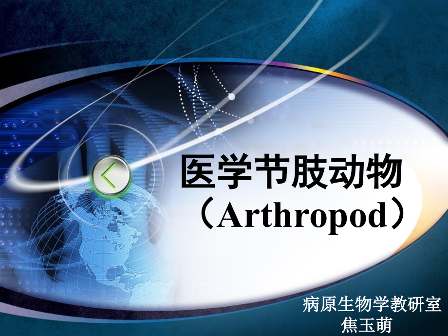 医学节肢动物概论.ppt_第1页