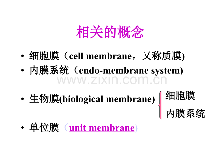 二细胞膜与物质的跨膜运输.ppt_第2页
