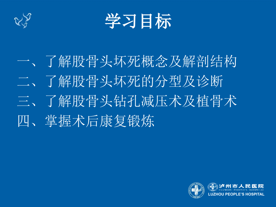 股骨头钻孔和植骨术.ppt_第2页