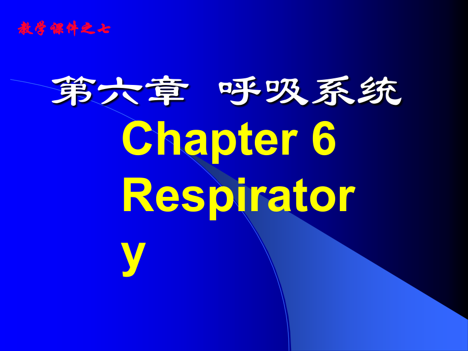 第六章呼吸系统.ppt_第1页