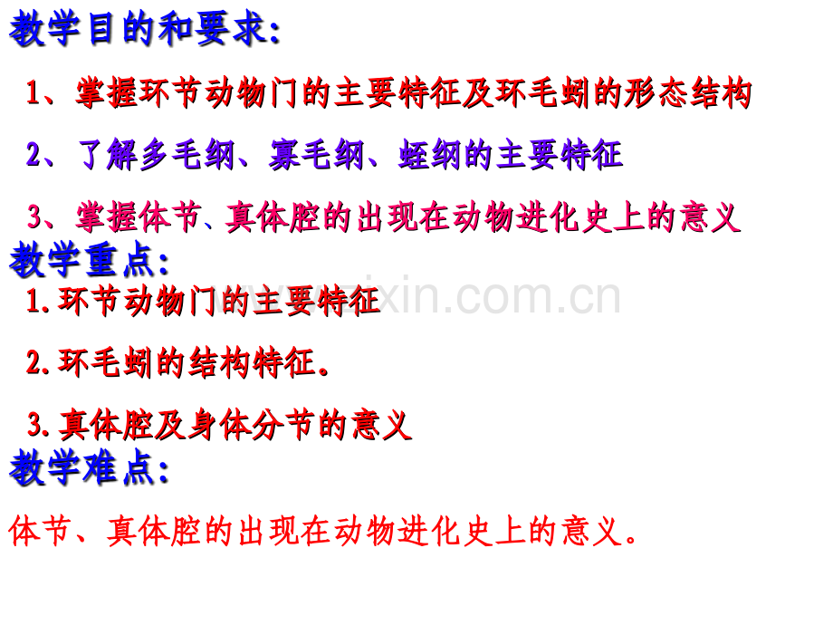 环节动物门.ppt_第2页