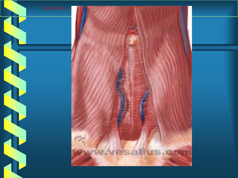 甲状腺疾病专业知识讲座课件.ppt_第2页