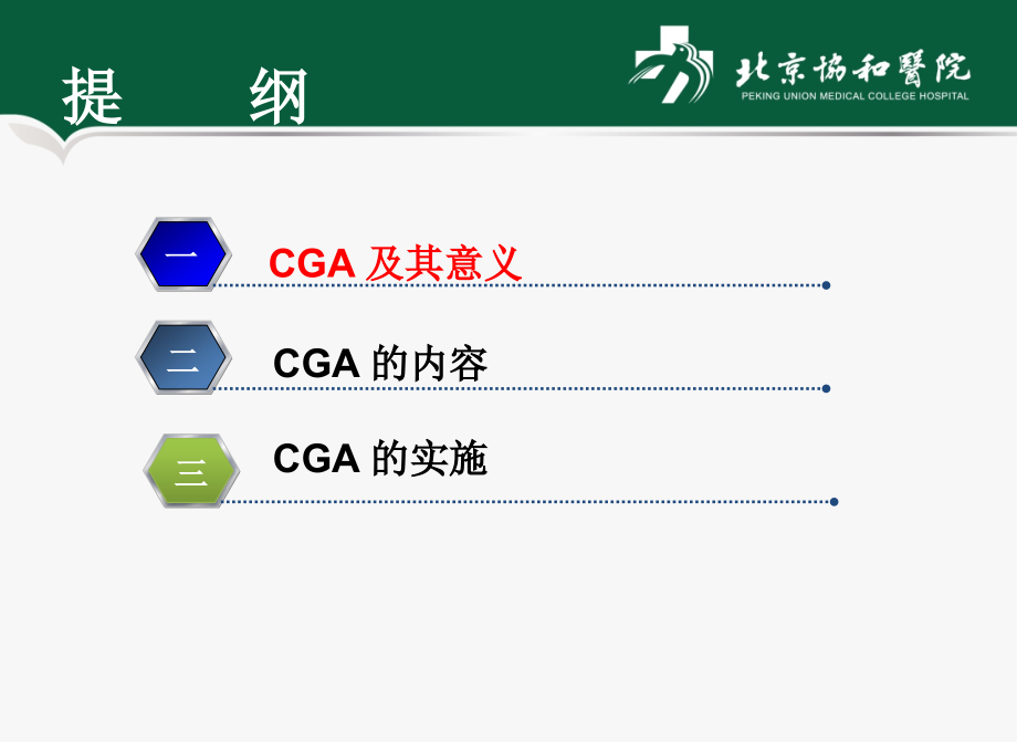 医学老年综合评估北京协和医院.pptx_第2页
