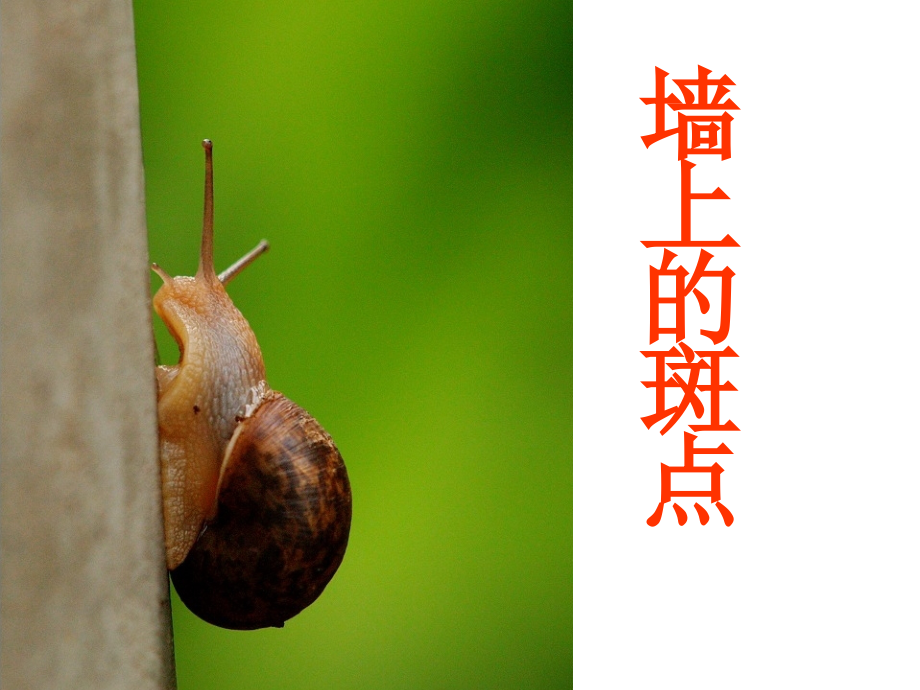 《墙上的斑点》优秀教学课件.ppt_第2页