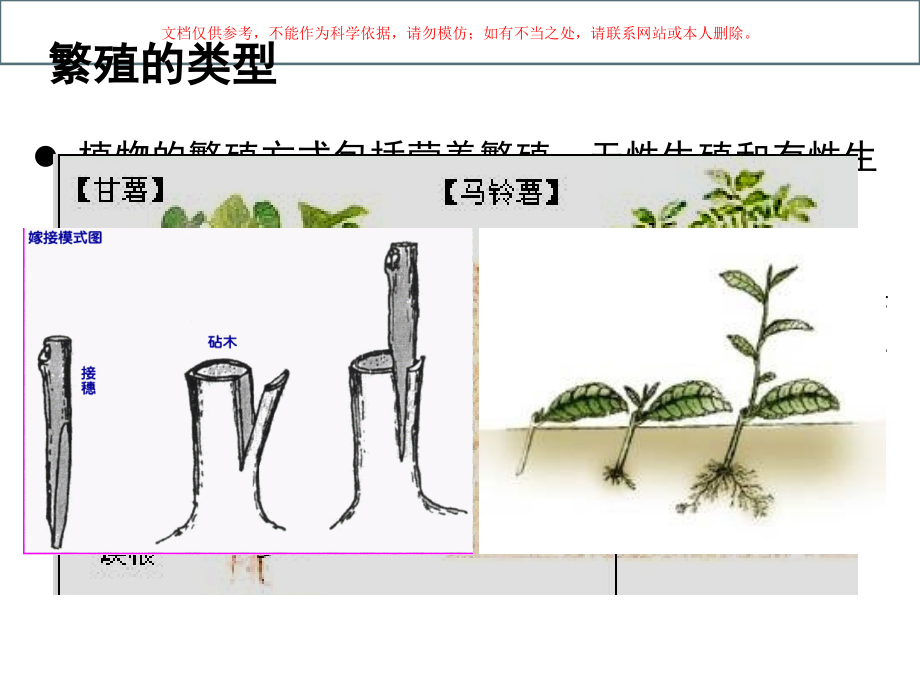 种子植物的繁殖器官课件.ppt_第2页