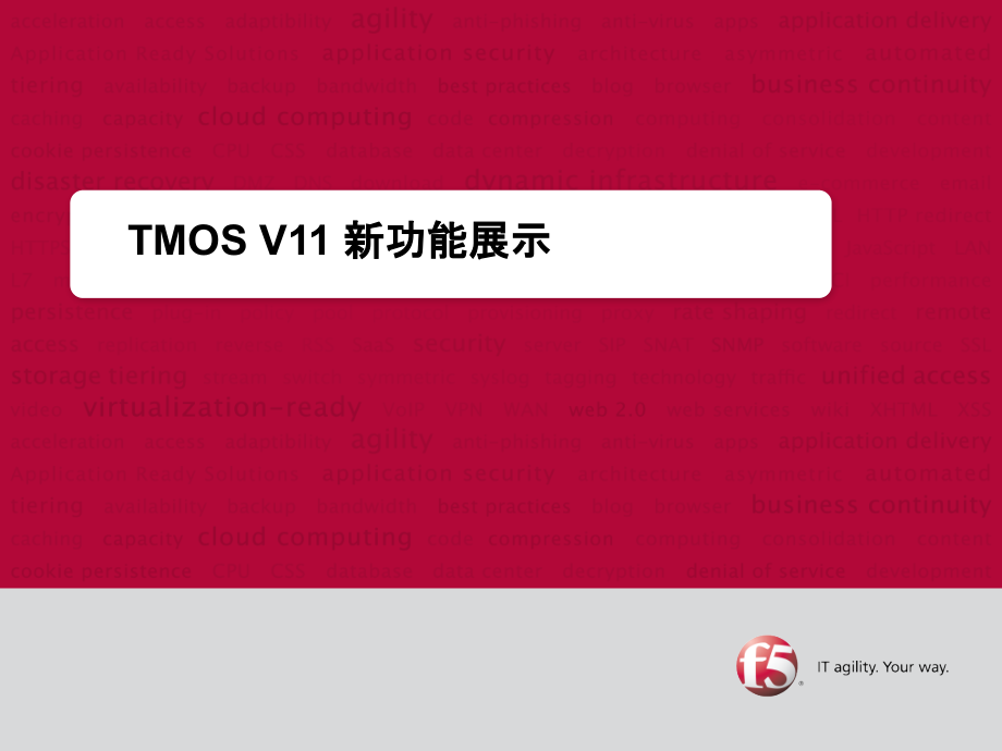 F5TMOSV11功能介绍.ppt_第1页