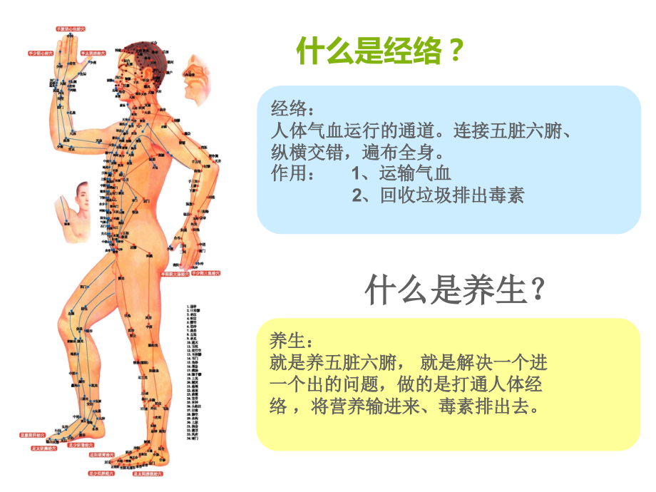 医学课件养生大讲堂经络养生.ppt_第2页