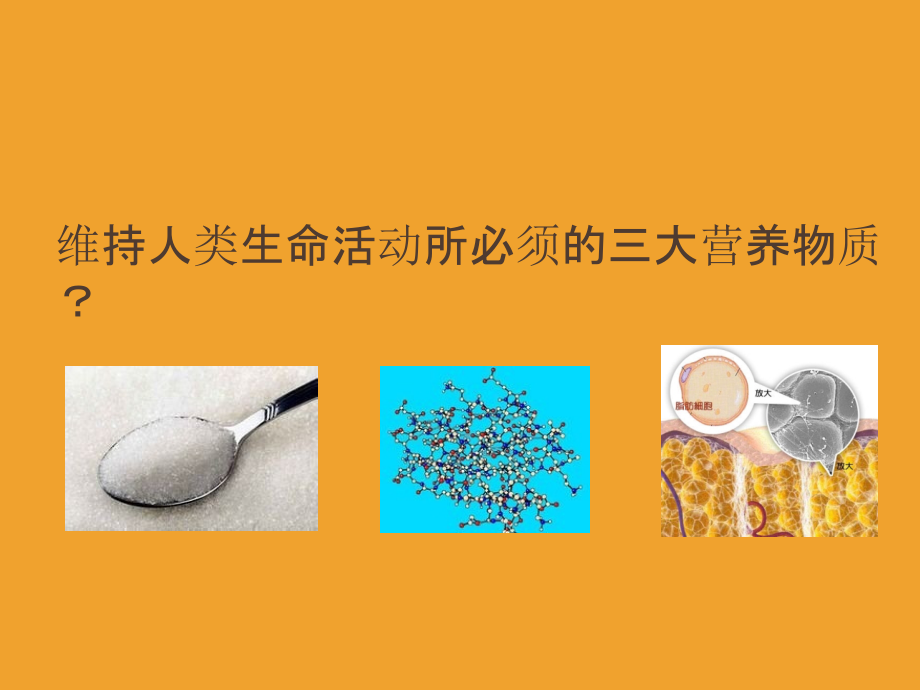 医学健康饮食从我做起.ppt_第2页