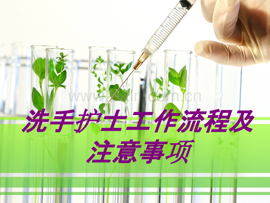 洗手护士工作流程及注意事项PPT.ppt_第1页