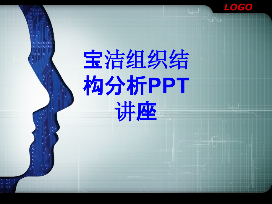 宝洁组织结构分析教育课件.ppt_第1页