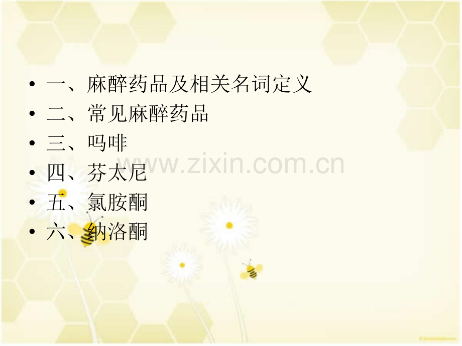 常见麻醉药品的使用讲义.ppt_第2页