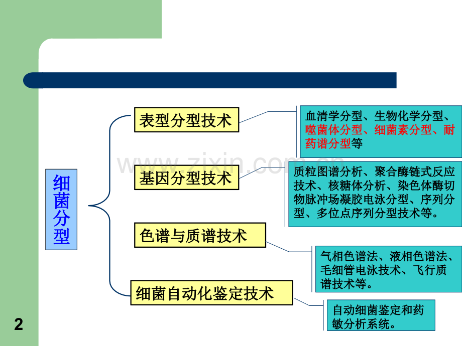 细菌的分型和其检测技术教育课件.ppt_第2页