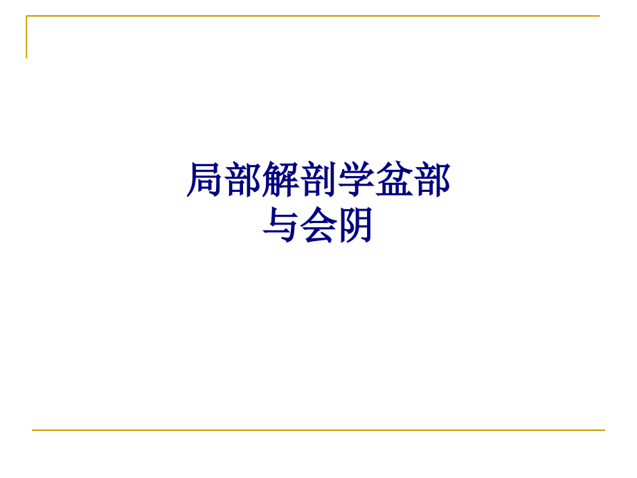 局部解剖学盆部与会阴专题PPT培训课件.ppt_第1页