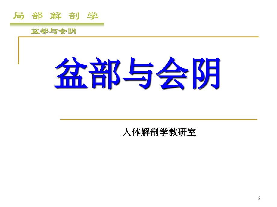 局部解剖学盆部与会阴专题PPT培训课件.ppt_第2页