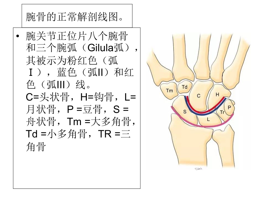 腕关节大全-.ppt_第2页