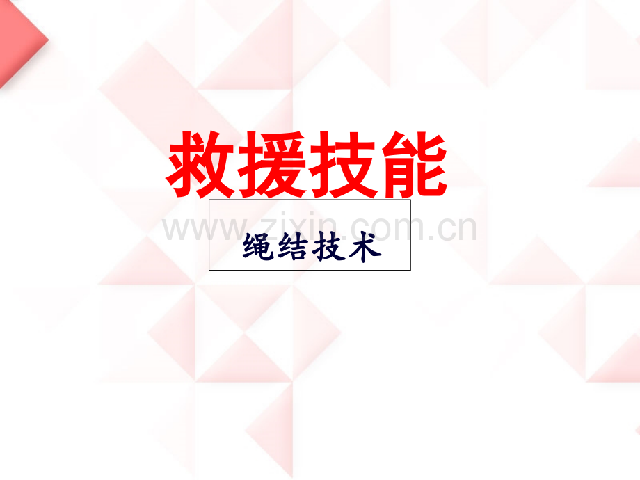 绳结技术.ppt_第1页