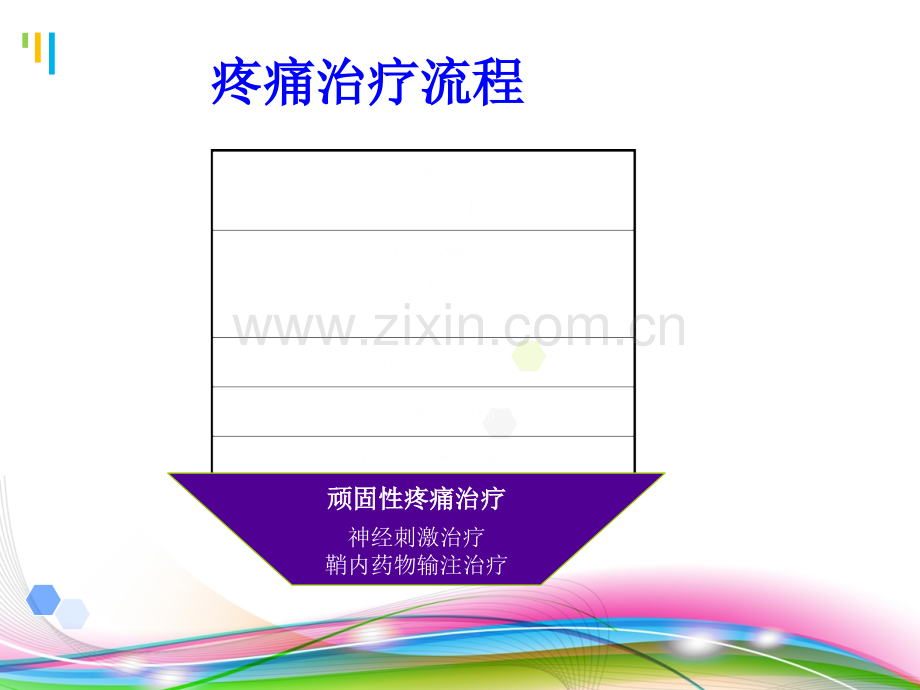 脊髓电刺激专题知识讲座.ppt_第2页
