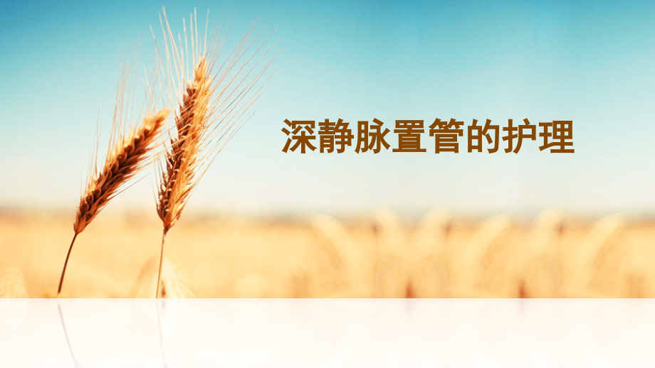深静脉置管的护理(1)2017.pptx_第1页