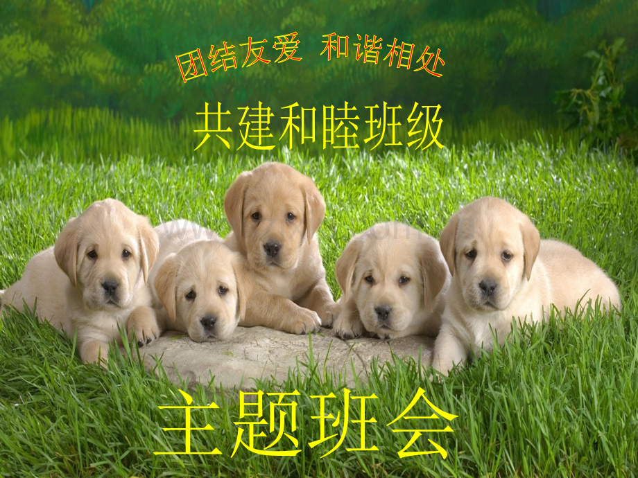 小学生团结友爱和睦共处主题班会课件.ppt_第1页